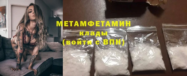 стаф Верея