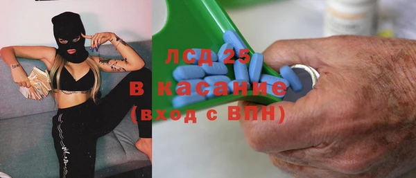 стаф Верея