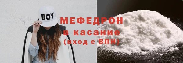 стаф Верея