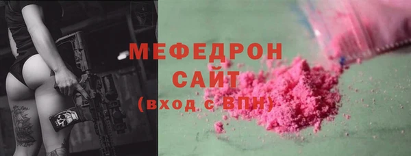 стаф Верея