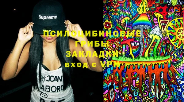 стаф Верея