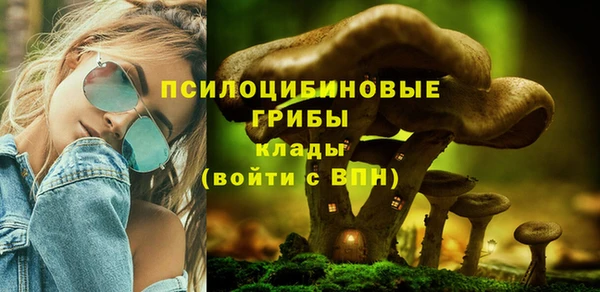 стаф Верея