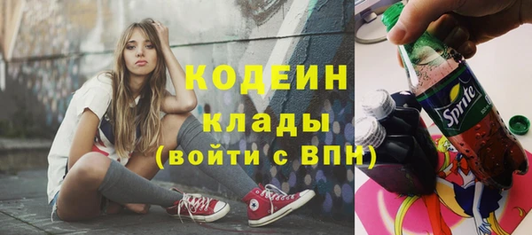 стаф Верея