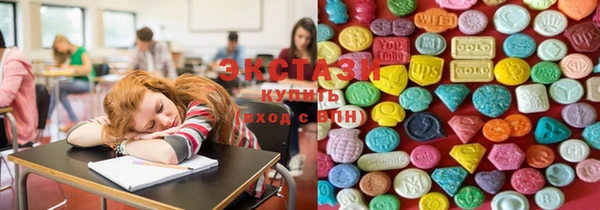 стаф Верея