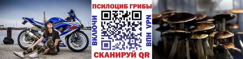 Галлюциногенные грибы мицелий  Барнаул 